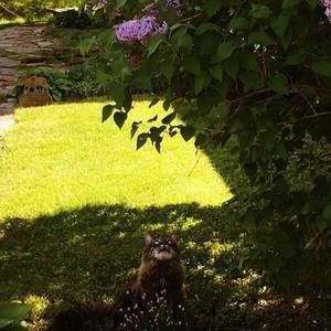 Meet your Posher, Kasey